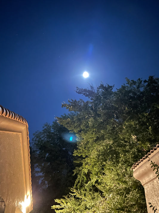 Happy Hunter Super Full Moon