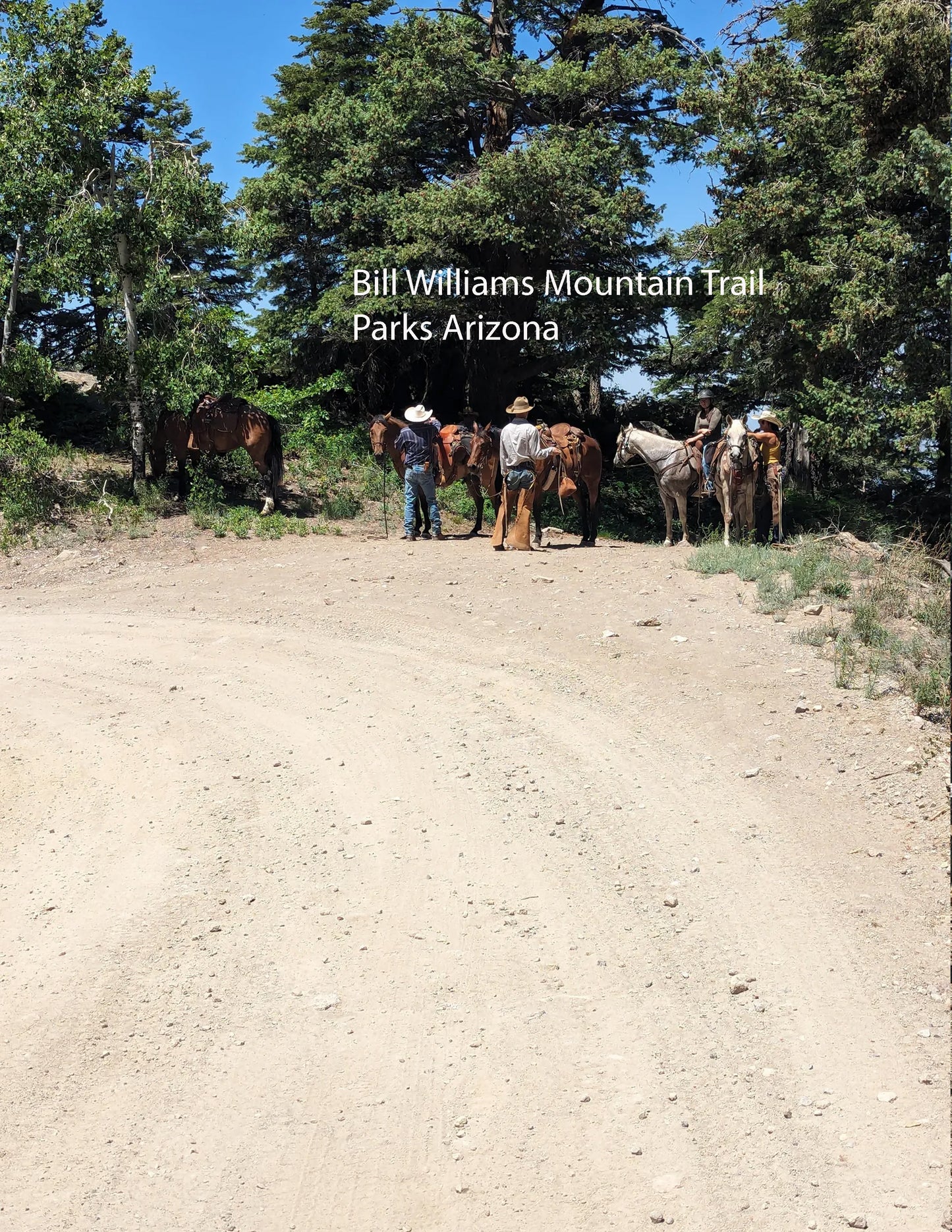 Pre-construction sale Discount, 7 Nights  for you and your horse annually, for 13 years, Dog Haven Equestrian Center.  Parks Arizona