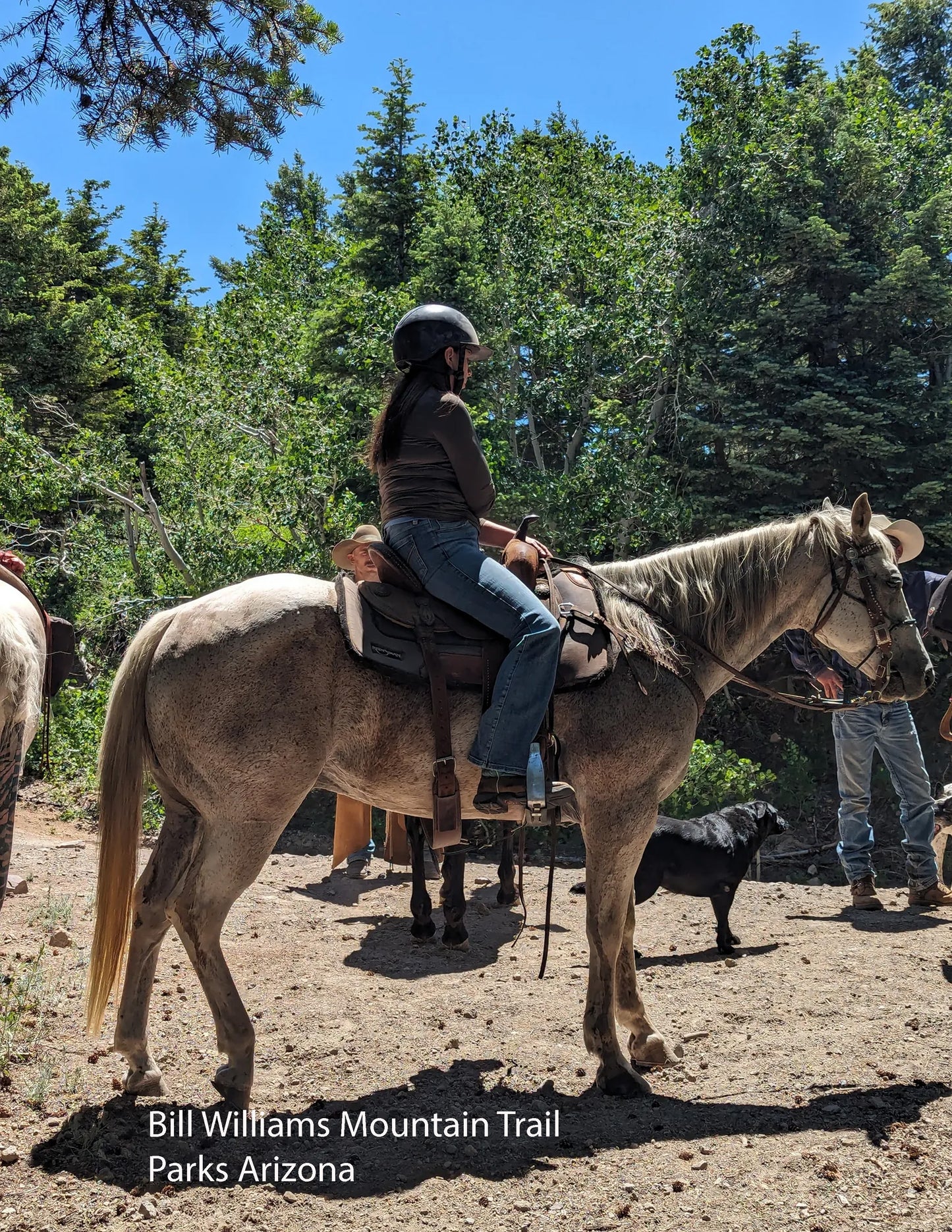Pre-construction sale Discount, 7 Nights  for you and your horse annually, for 13 years, Dog Haven Equestrian Center.  Parks Arizona