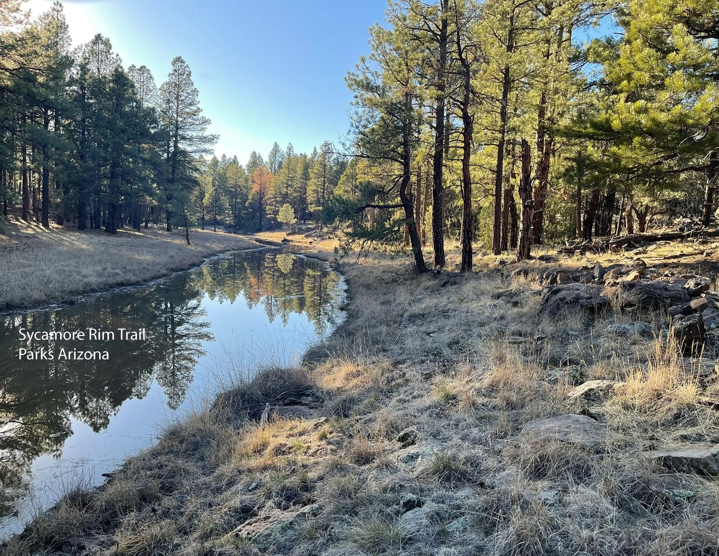Pre-construction sale Discount, 7 Nights  for you and your horse annually, for 13 years, Dog Haven Equestrian Center.  Parks Arizona