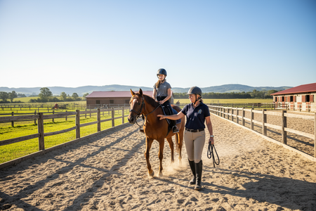 Horse riding lessons